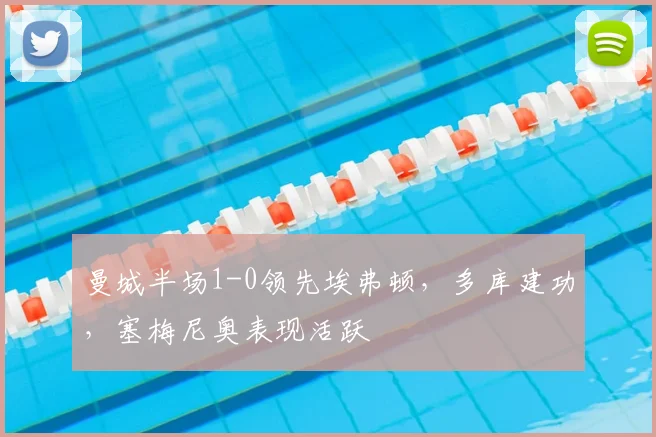 曼城半场1-0领先埃弗顿,多库建功,塞梅尼奥表现活跃