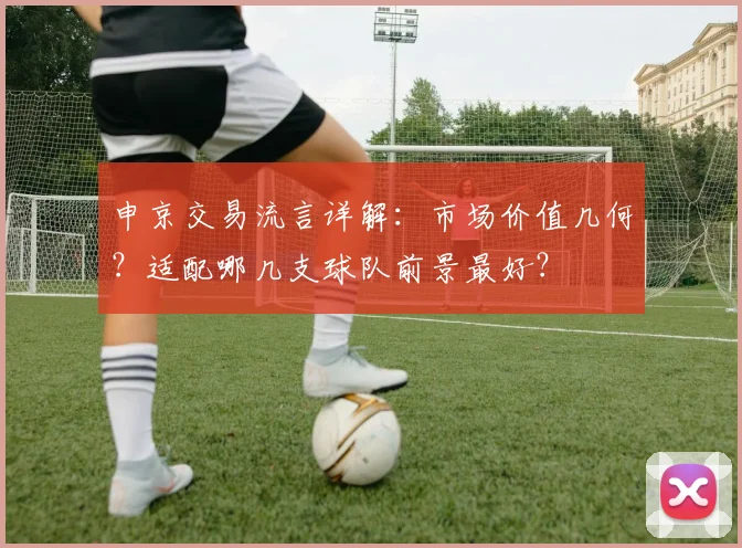 申京交易流言详解:市场价值几何?适配哪几支球队前景最好?