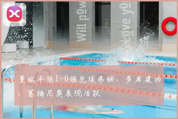 曼城半场1-0领先埃弗顿,多库建功,塞梅尼奥表现活跃