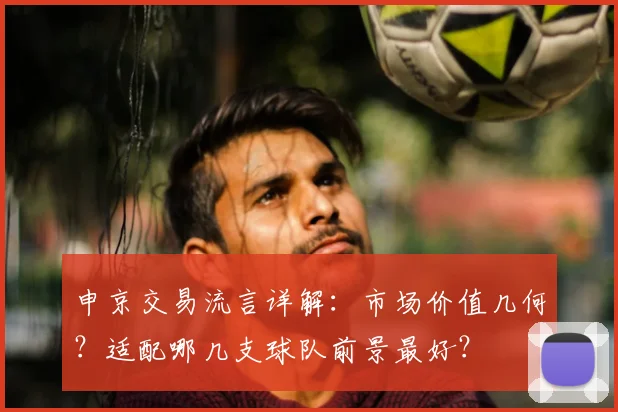 申京交易流言详解:市场价值几何?适配哪几支球队前景最好?